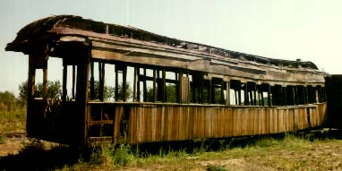 swayback coach