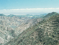 Click to enlarge