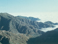 Click to enlarge