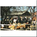 Image11.jpg
