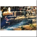 Image13.jpg