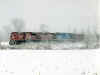 blizzardrd.jpg (169140 bytes)