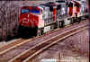 cn2558gggggg.jpg (236041 bytes)