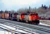 cn9666.JPG (403558 bytes)