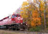 cp5421.jpg (509454 bytes)