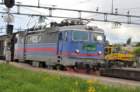 rc41159grorud200508_small.jpg