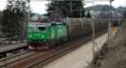 rc41279solbrtan240406_small.jpg