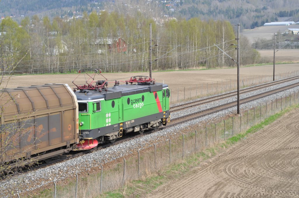 rc41295lier290408.jpg