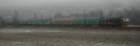 el142189lier0104051_small.jpg