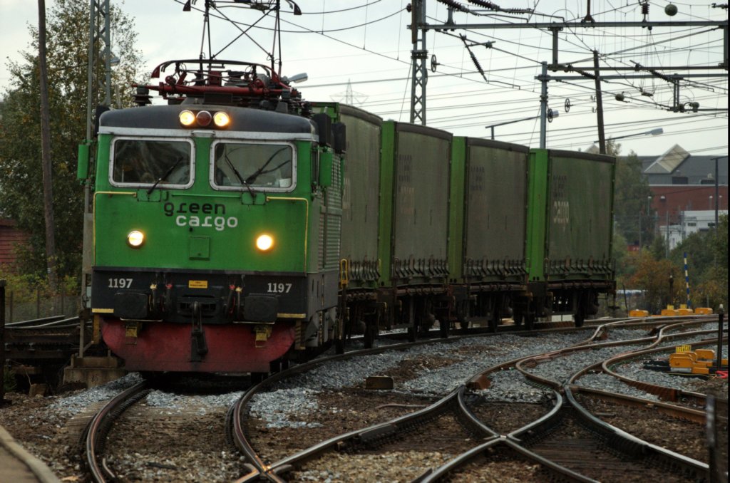 rc41197medgodstoggrorud200907.jpg