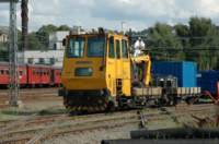 dsc_0242_small.jpg