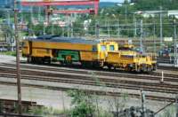 dsc_2502_small.jpg
