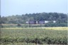 Westfield, NY