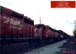 CP 5547