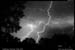2001-07-11-29_small