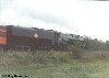 milw2611069