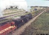 milw2611077