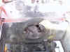 Flywheelguard.jpg (37402 bytes)