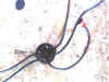 distribwithwires.jpg (43183 bytes)