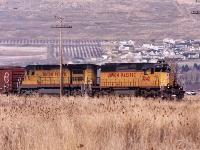 UP-3242