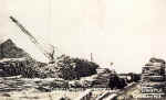 pulpwood.jpg (33818 bytes)
