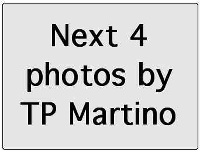 0tm0.label