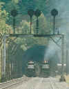 ns6512_elkhorn.jpg (170143 bytes)