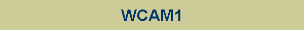 WCAM1