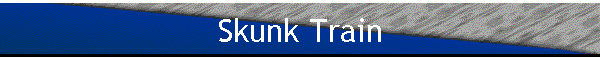 Skunk Train