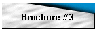 Brochure #3