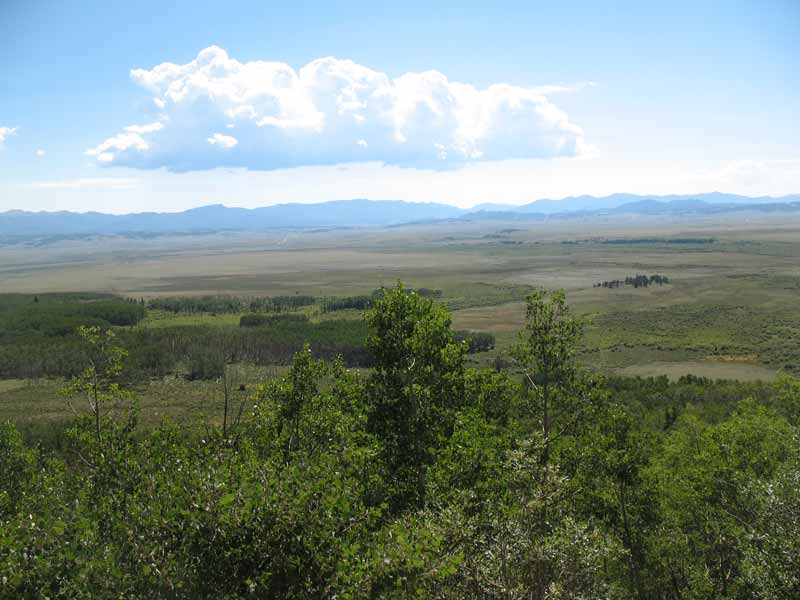 Davis Overlook