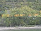 Freight Train