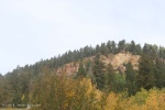 Fall Foliage