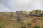 Fall Foliage
