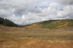 Fall Foliage