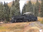D&RGW #484 (K-36) & Show Shed / Wye