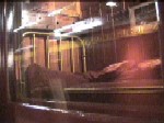 Video Clip