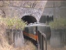 Tunnel #81