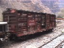 Box Car FXE121003