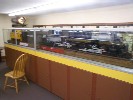 Large Scale Models