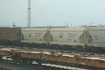 WW #4483 and WW #4713
