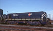 Yanosey photo