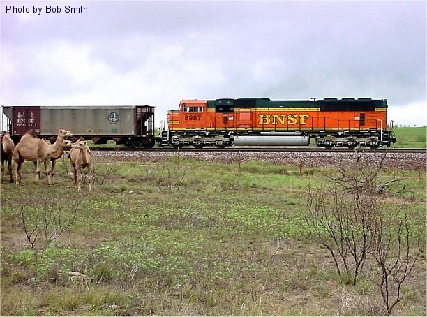 Texas Railroad Sesquicentennial - Sesquicentennial Week