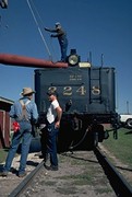 Watering FWWR 2248 - Ft. Worth Stockyards