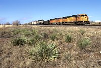 meet at Hedley, TX
