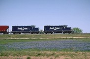 South Orient Bluebonnets