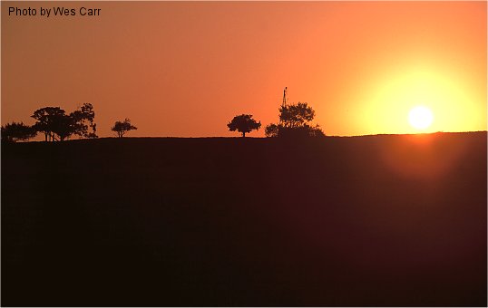sunset at Metro