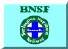 Burlington Northern Santa Fe