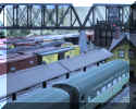 The busy yard