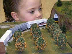 Little Girl Looking in Tunnel